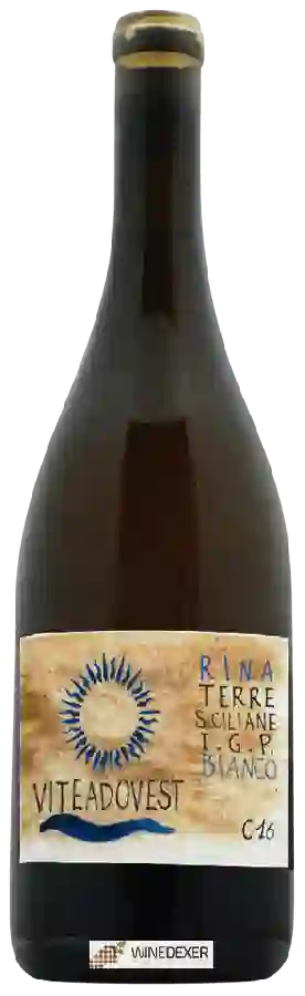 Winery Viteadovest - Rina Bianco Winery Viteadovest - Rina Bianco