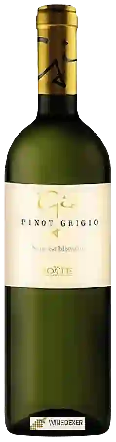 Winery Viticoltori Ponte - Giò Pinot Grigio