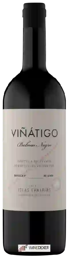 Winery Viñátigo - Baboso Negro Winery Viñátigo - Baboso Negro