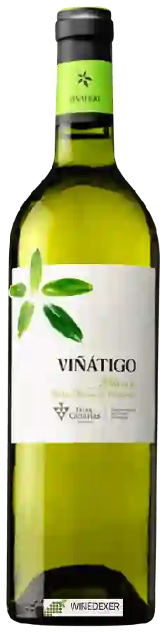 Winery Viñátigo - Blanco Winery Viñátigo - Blanco