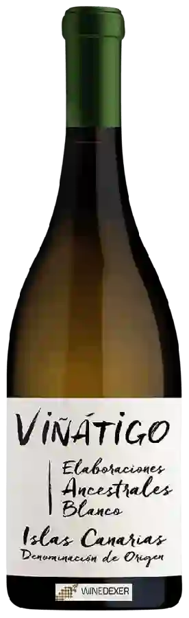 Winery Viñátigo - Elaboraciones Ancestrales Blanco