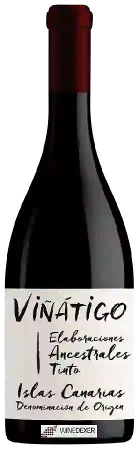 Winery Viñátigo - Elaboraciones Ancestrales Tinto