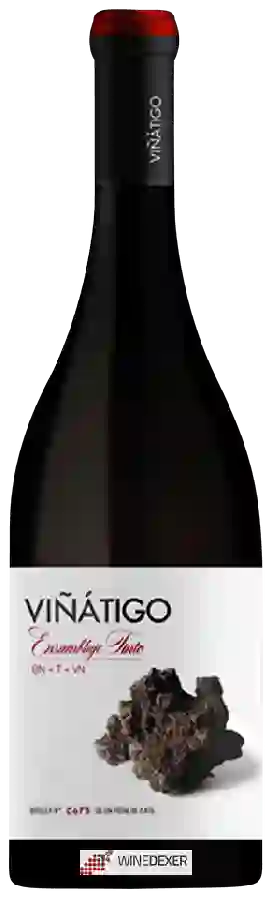 Winery Viñátigo - Ensamblaje Tinto Winery Viñátigo - Ensamblaje Tinto