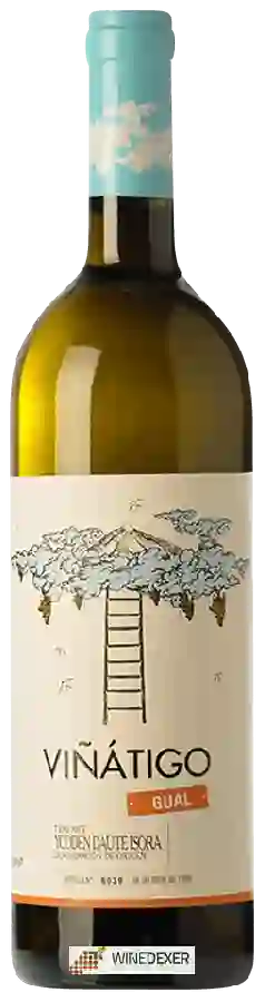 Winery Viñátigo - Gual