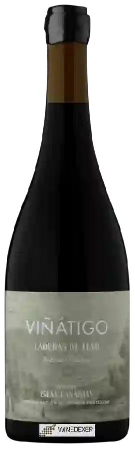 Winery Viñátigo - Laderas de Teno