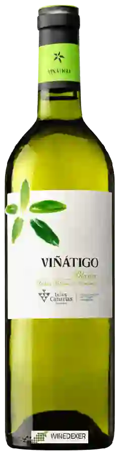 Winery Viñátigo - Listan Blanco de Canarias Blanco