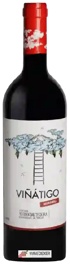 Winery Viñátigo - Negramoll