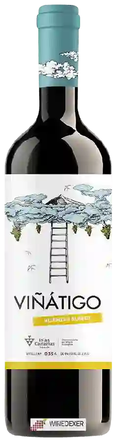 Winery Viñátigo - Vijariego Blanco