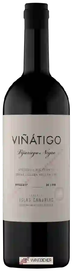 Winery Viñátigo - Vijariego Negro