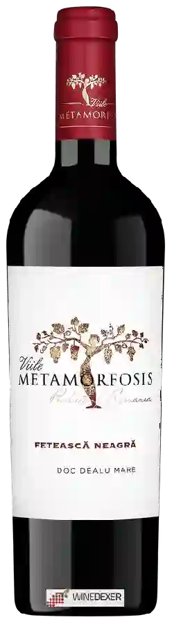 Winery Vitis Metamorfosis - Fetească Neagră