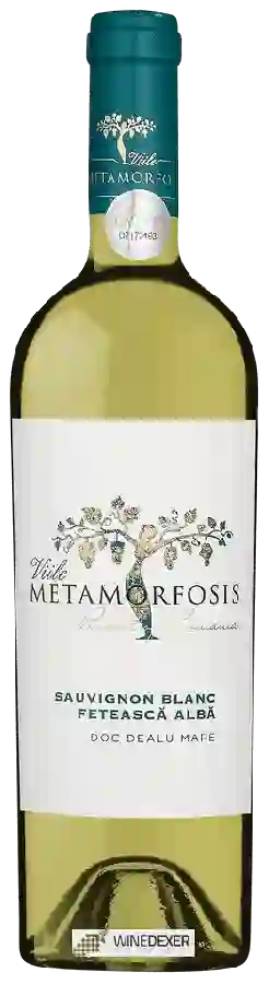 Winery Vitis Metamorfosis - Viile Metamorfosis Fetească Albă - Sauvignon Blanc