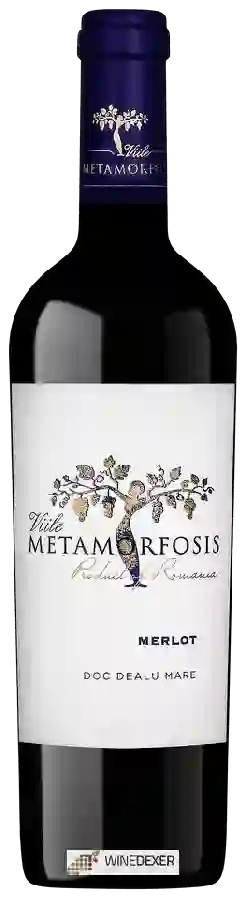 Winery Vitis Metamorfosis - Viile Metamorfosis Merlot