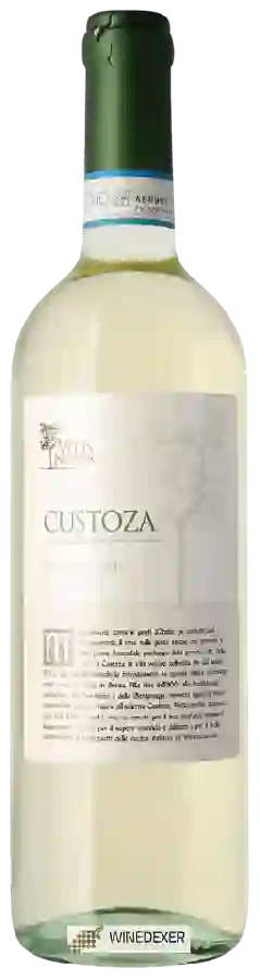 Winery Vitis Nostra - Bianco di Custoza Winery Vitis Nostra - Bianco di Custoza