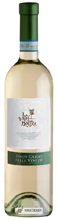 Winery Vitis Nostra - Pinot Grigio