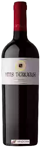 Winery Vitis Terrarum - Tempranillo