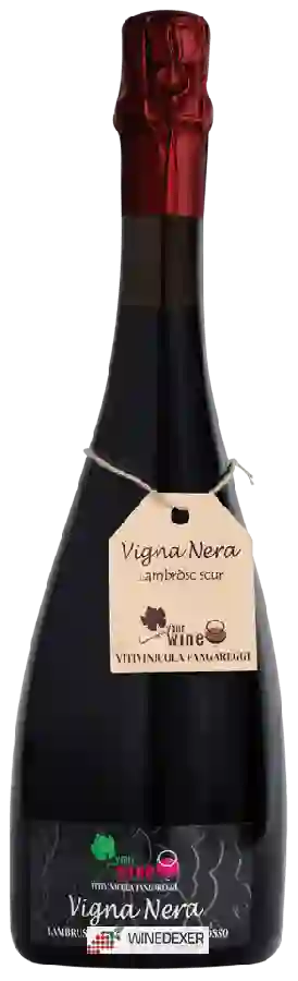 Winery Vitivinicola Fangareggi - Vigna Nera Lambrusco dell'Emilia Rosso