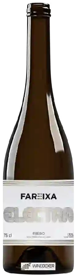 Winery Vitivinícola Fareixa - Electra Winery Vitivinícola Fareixa - Electra