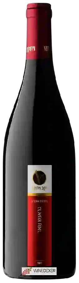 Winery Vitkin - ויתקין - Grenache Noir (גראנש נואר) Winery Vitkin - ויתקין - Grenache Noir (גראנש נואר)