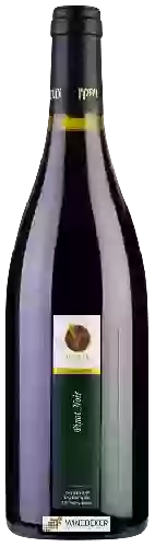 Winery Vitkin - ויתקין - Pinot Noir (פינו נואר)