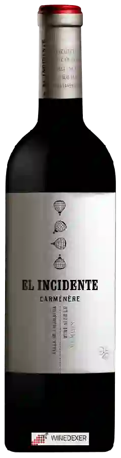 Winery Viu Manent - El Incidente Carmén&egravere