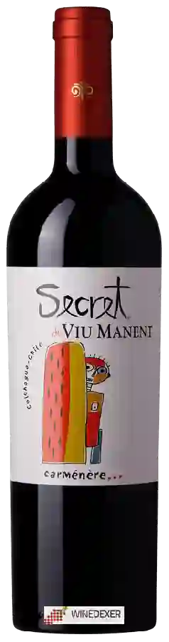 Winery Viu Manent - Secreto Carmenère Winery Viu Manent - Secreto Carmenère