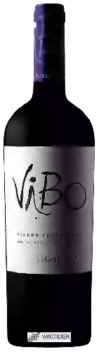 Winery Viu Manent - ViBo Viñedo Centenario