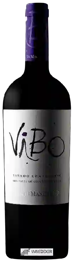 Winery Viu Manent - ViBo Viñedo Centenario Winery Viu Manent - ViBo Viñedo Centenario