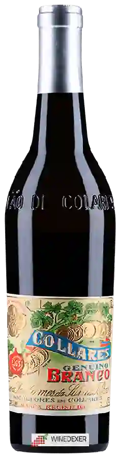 Winery Viúva Gomes - Colares Genuino Branco Winery Viúva Gomes - Colares Genuino Branco