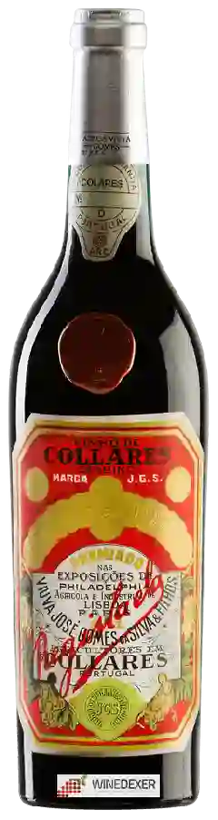 Winery Viúva Gomes - Collares Tinto