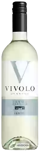 Winery Vivolo di Sasso - Pinot Bianco Veneto