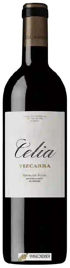Winery Vizcarra - Celia