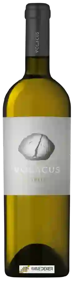 Winery Volacus - ΑΣΥΡΤΙΚΟ (Assyrtiko) Winery Volacus - ΑΣΥΡΤΙΚΟ (Assyrtiko)