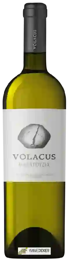 Winery Volacus - &Mu&Alpha&Lambda&Alpha&Gamma&Omicron&Upsilon&Zeta&Iota&Alpha (Malagousia)