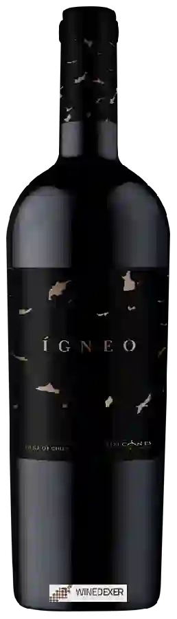 Winery Volcanes - Ígneo Red