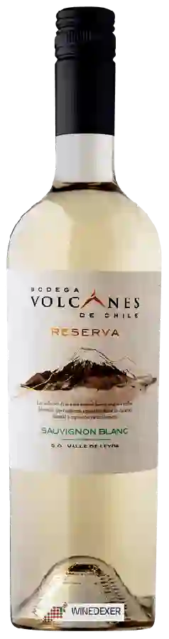 Winery Volcanes - Reserva Sauvignon Blanc