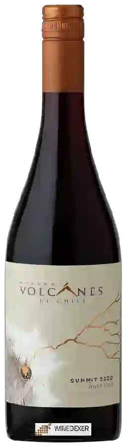 Winery Volcanes - Summit 2900 Pinot Noir Winery Volcanes - Summit 2900 Pinot Noir