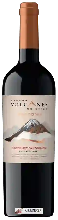 Winery Volcanes - Tectonia Cabernet Sauvignon