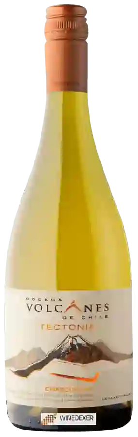 Winery Volcanes - Tectonia Chardonnay