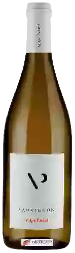 Winery Volpe Pasini - Sauvignon