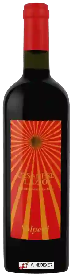 Winery Volpetti - Cesanese Lazio Winery Volpetti - Cesanese Lazio