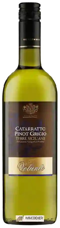 Winery Voluntè - Catarratto - Pinot Grigio Winery Voluntè - Catarratto - Pinot Grigio