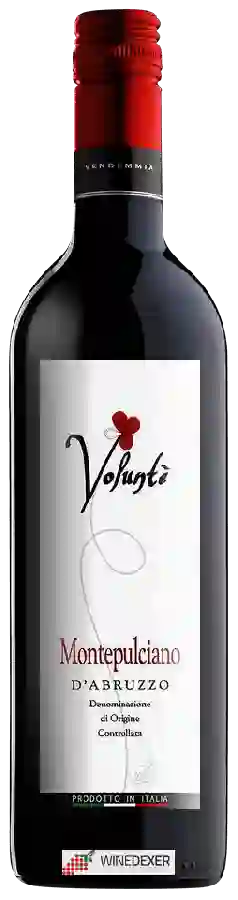 Winery Voluntè - Montepulciano d'Abruzzo Winery Voluntè - Montepulciano d'Abruzzo