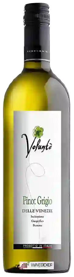 Winery Voluntè - Pinot Grigio Winery Voluntè - Pinot Grigio
