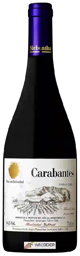 Winery Von Siebenthal - Carabantes Syrah
