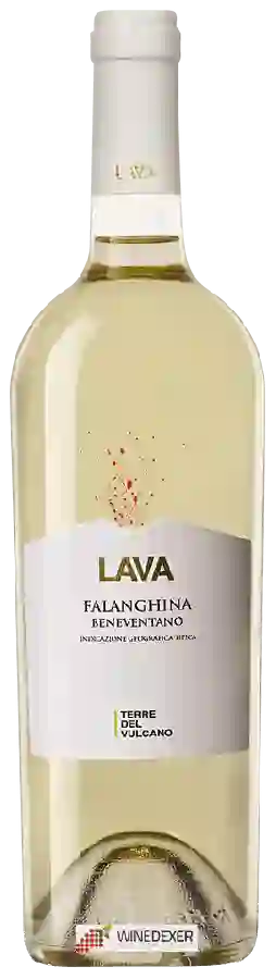 Winery Vulcano - Lava Falanghina Beneventano