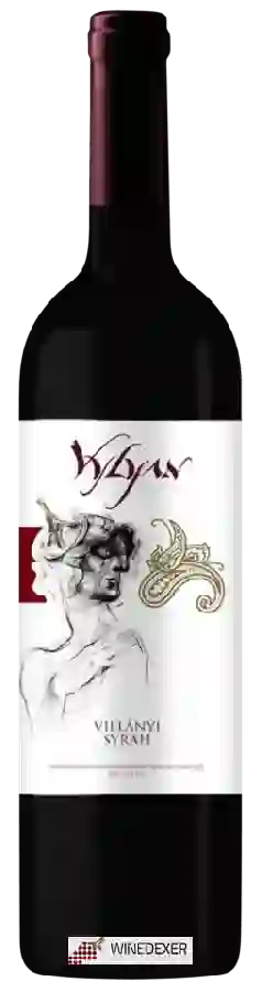 Winery Vylyan - Syrah Winery Vylyan - Syrah