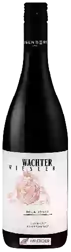 Winery Wachter-Wiesler - Béla-Jóska Eisenberg