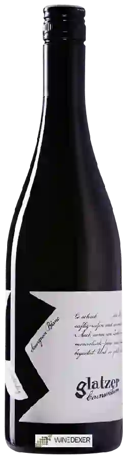 Winery Glatzer - Sauvignon Blanc