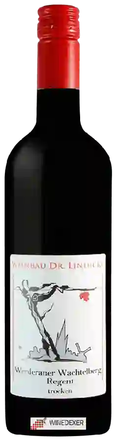 Winery Weinbau Dr. Lindicke - Werderaner Wachtelberg Regent Trocken Winery Weinbau Dr. Lindicke - Werderaner Wachtelberg Regent Trocken