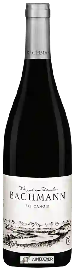 Winery Weingut am Zürichsee Bachmann - Piz Canoir